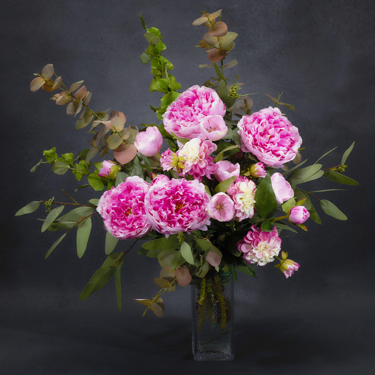 Tige de Pivoine de Jardin