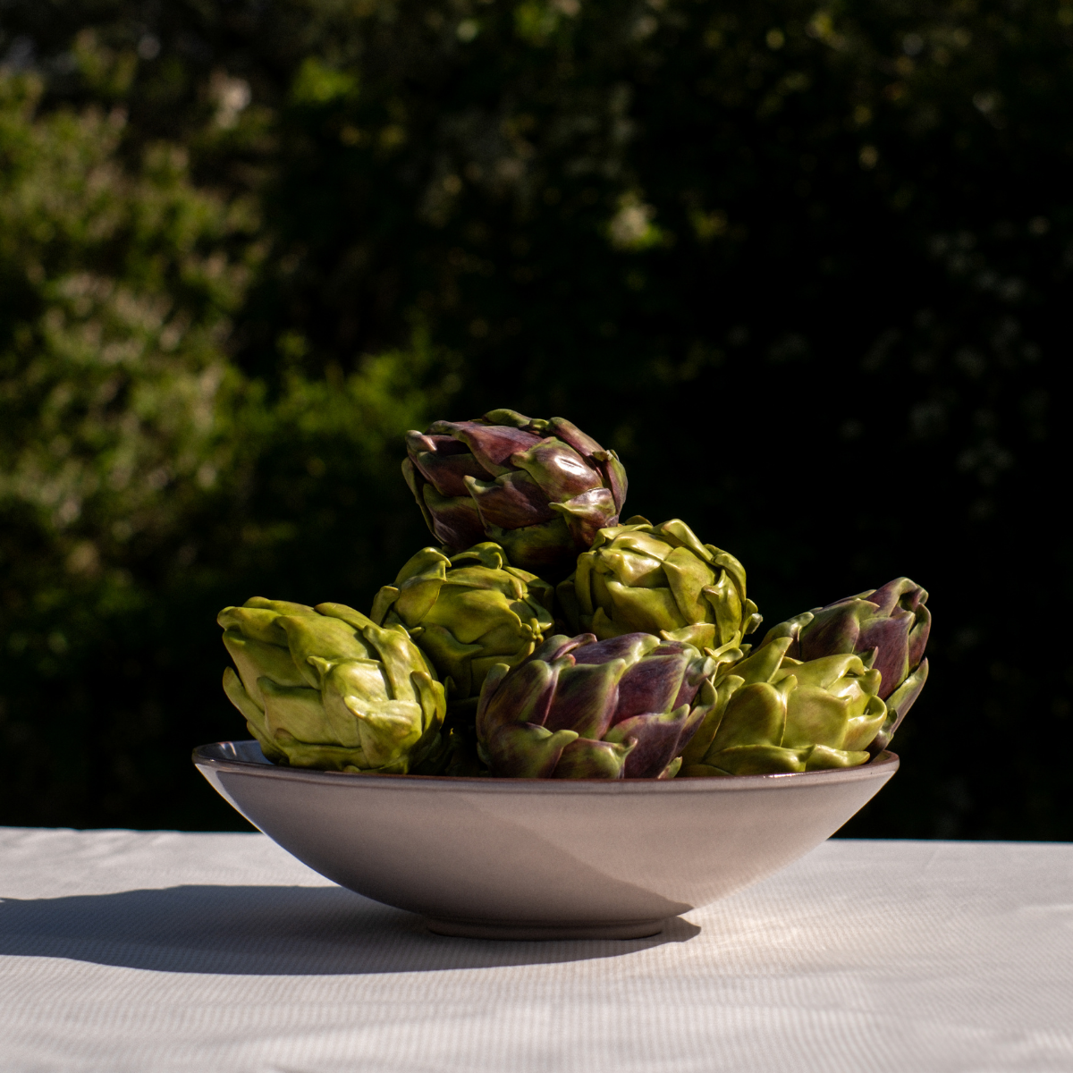 Tige d'Artichaut Grand Format