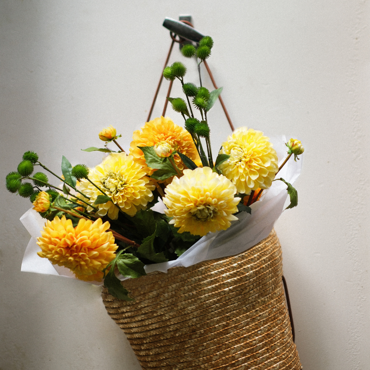 Tige de Dahlia avec bourgeon