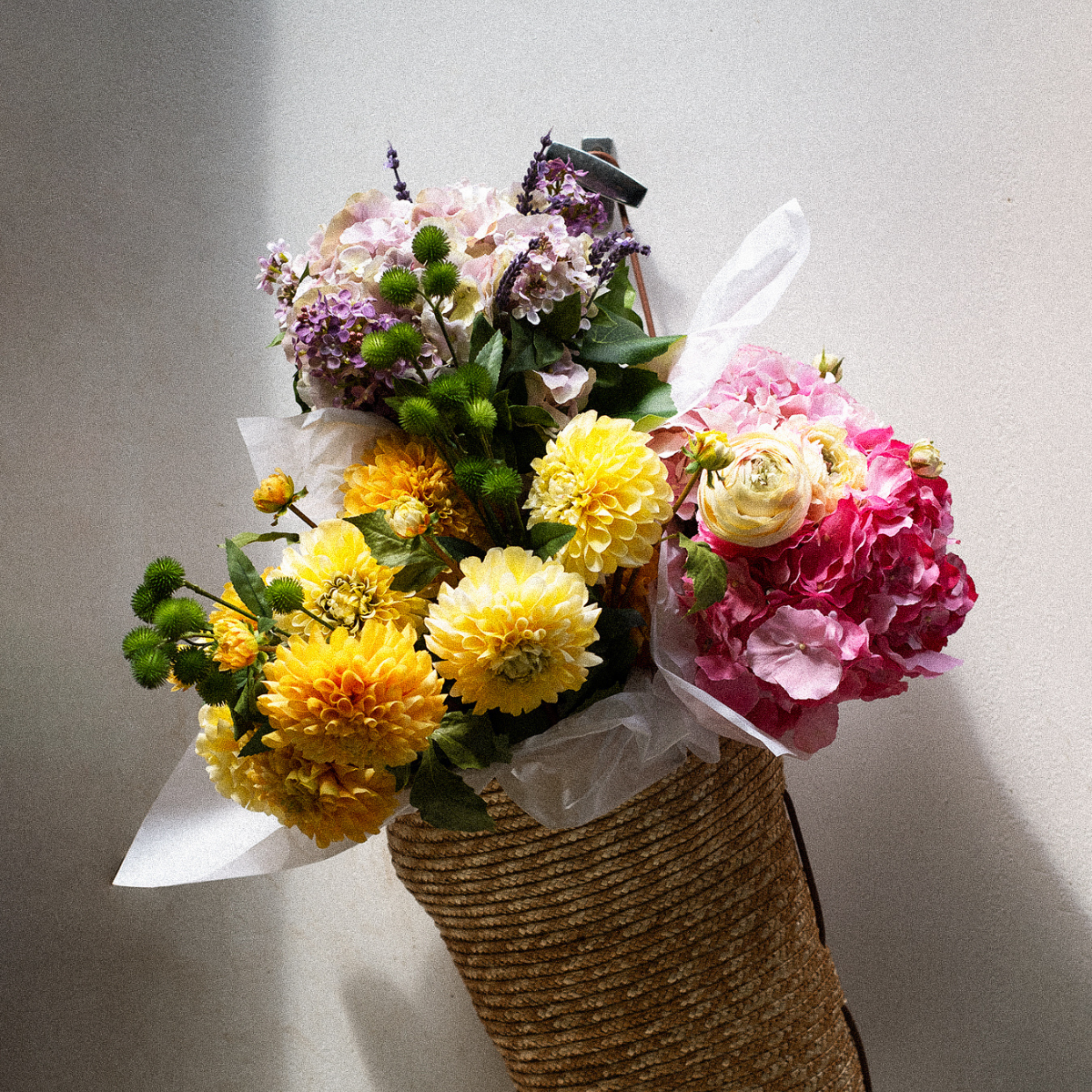 Tige de Dahlia avec bourgeon