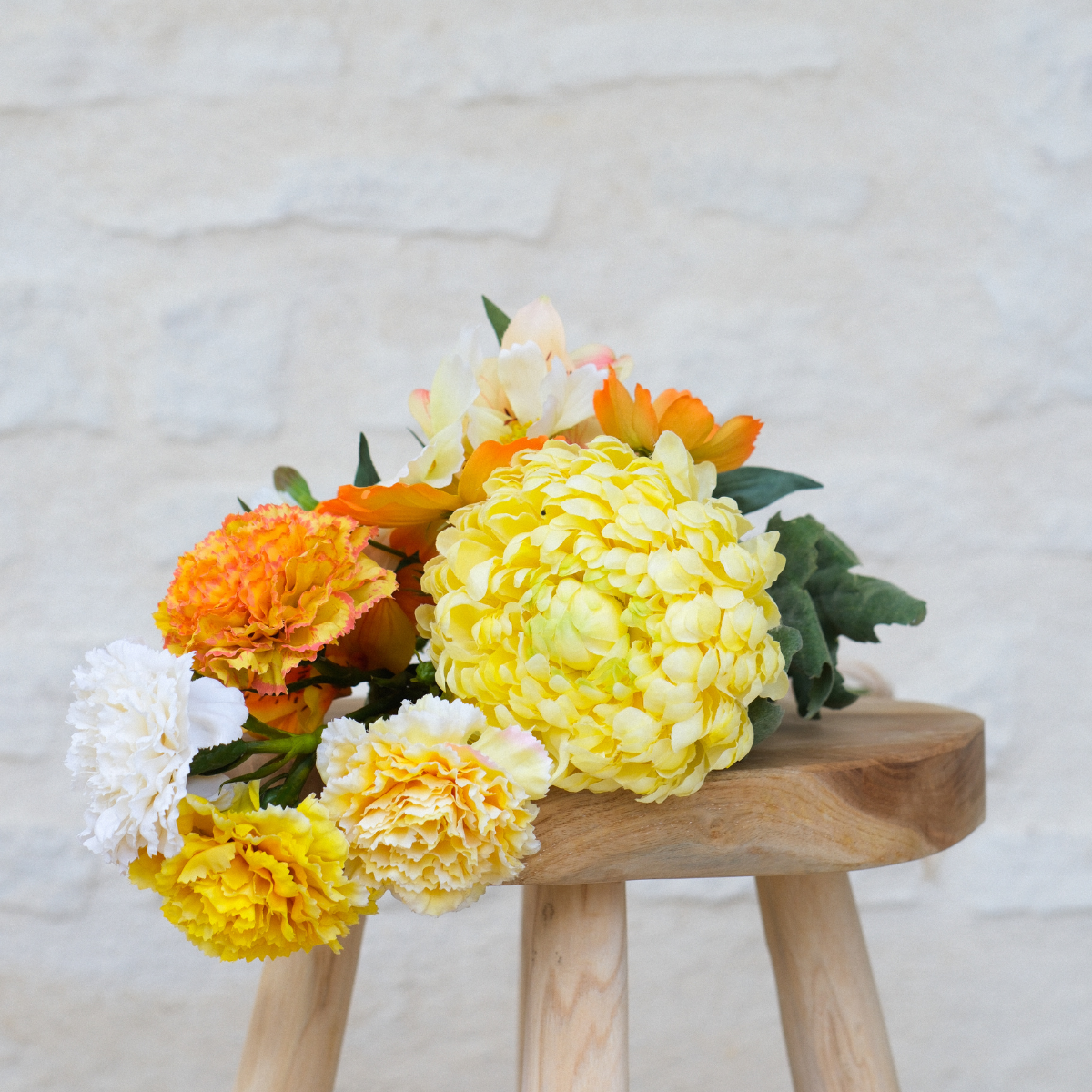 Tige de clou de girofle