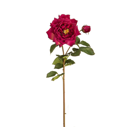 Tige de rose David ouverte