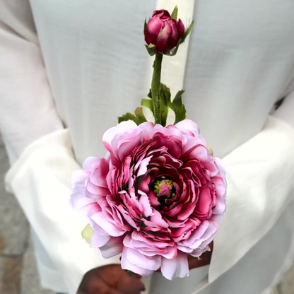 Tige de Renoncule Nora ouverte