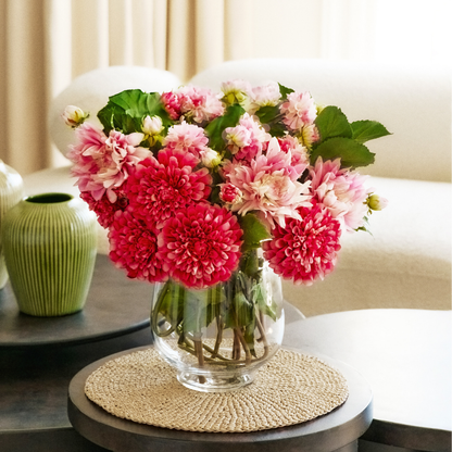 Tige de Dahlia avec bourgeon