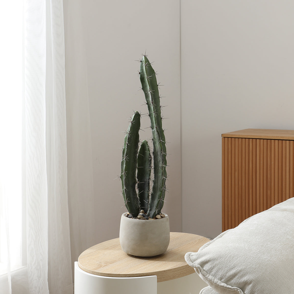 Cactus dans un pot en céramique de 64 cm