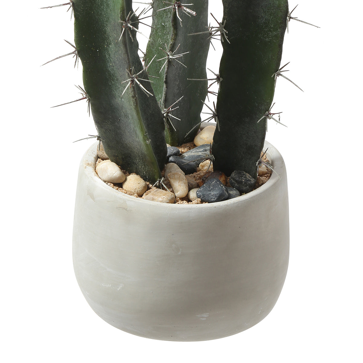 Cactus dans un pot en céramique de 64 cm