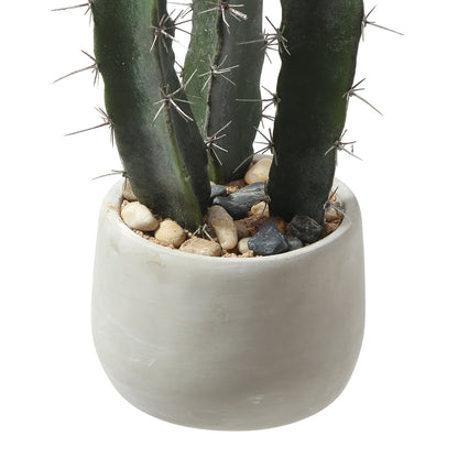 Cactus dans un pot en céramique de 64 cm