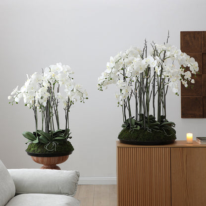 Composition d'Orchidée Artificielle avec mousse 113cm