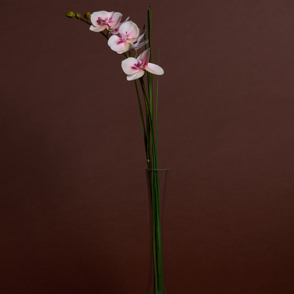 Orchidée artificielle en illusion d'eau