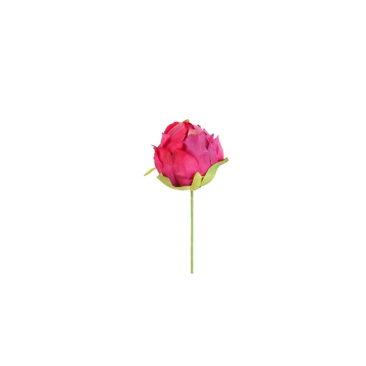 Tige de bouton de pivoine à piquer dans la mousse