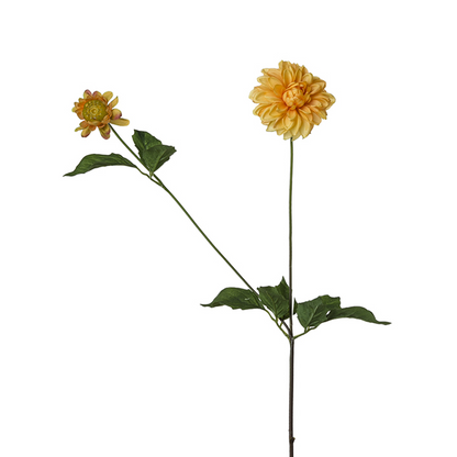 Tige de Dahlia avec bourgeon