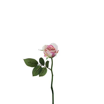 Tige de rose Maria Waterproof fermée