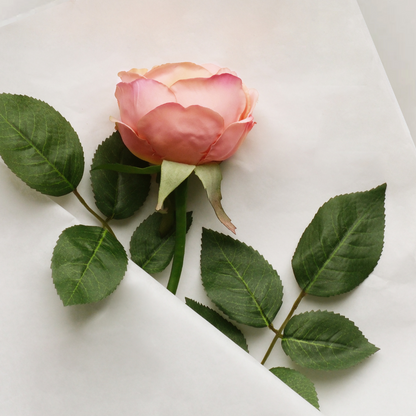 Tige de rose Maria Waterproof ouverte