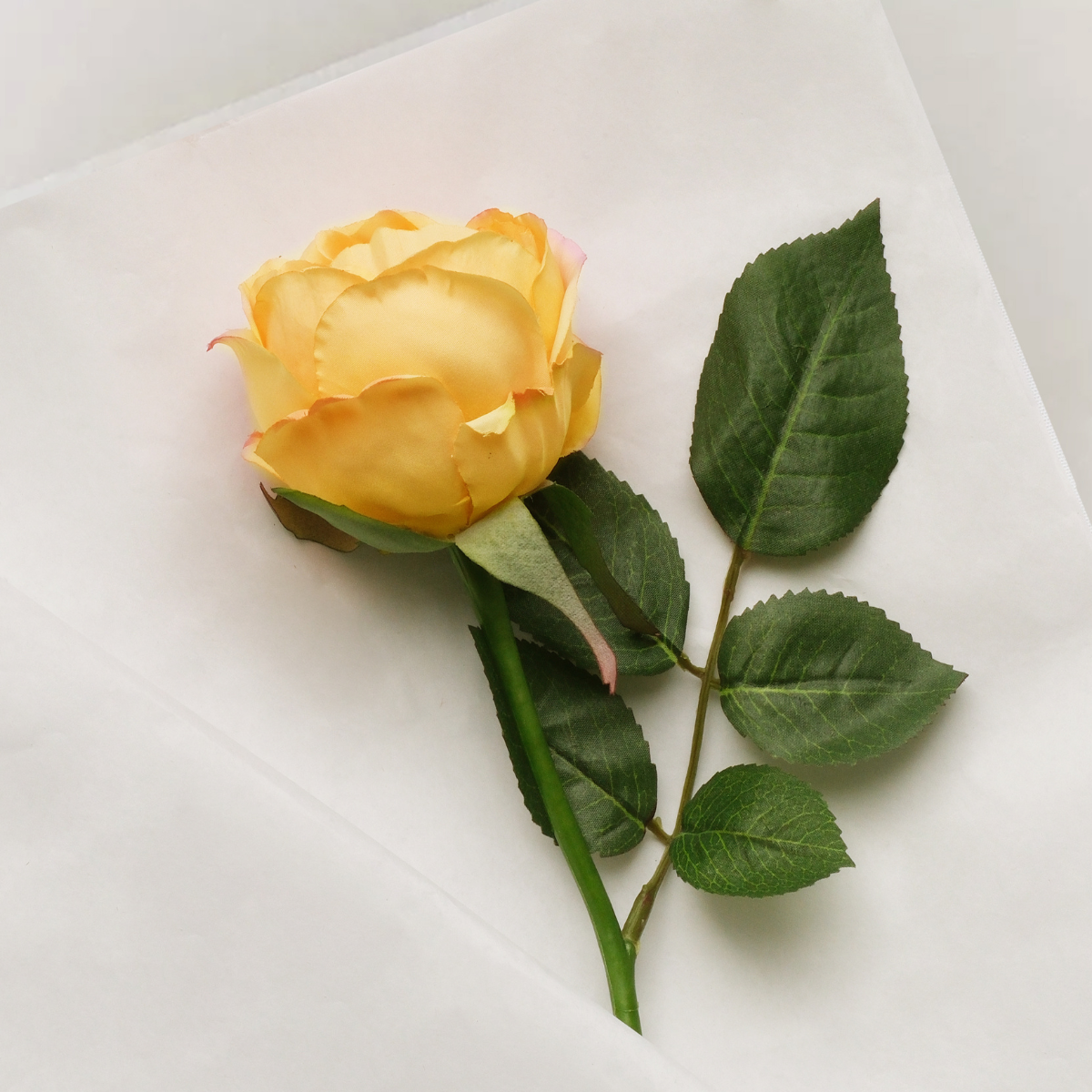 Tige de rose Maria Waterproof fermée