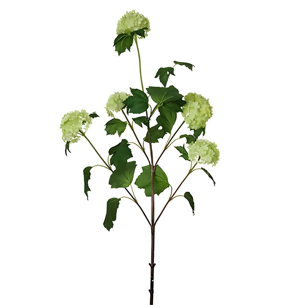Tige d'Hydrangea Snowballs 5 têtes