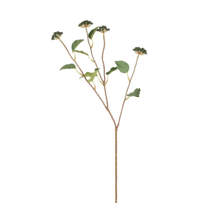 Rameau de baies avec feuilles