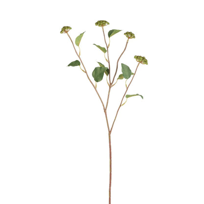 Rameau de baies avec feuilles