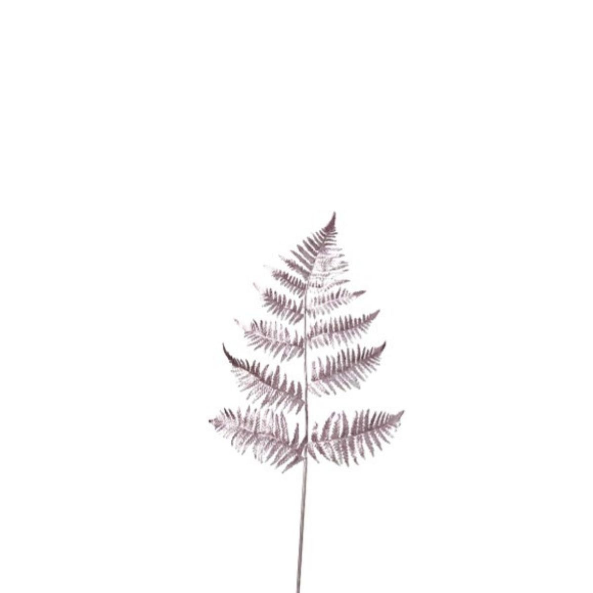 Feuillage de fougère métallique