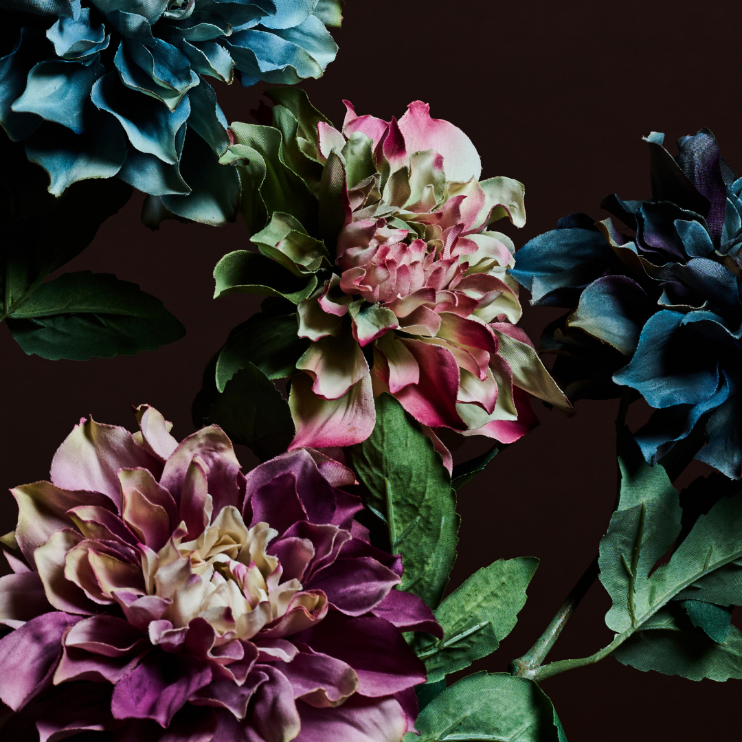 Tige de Dahlia Waterlily