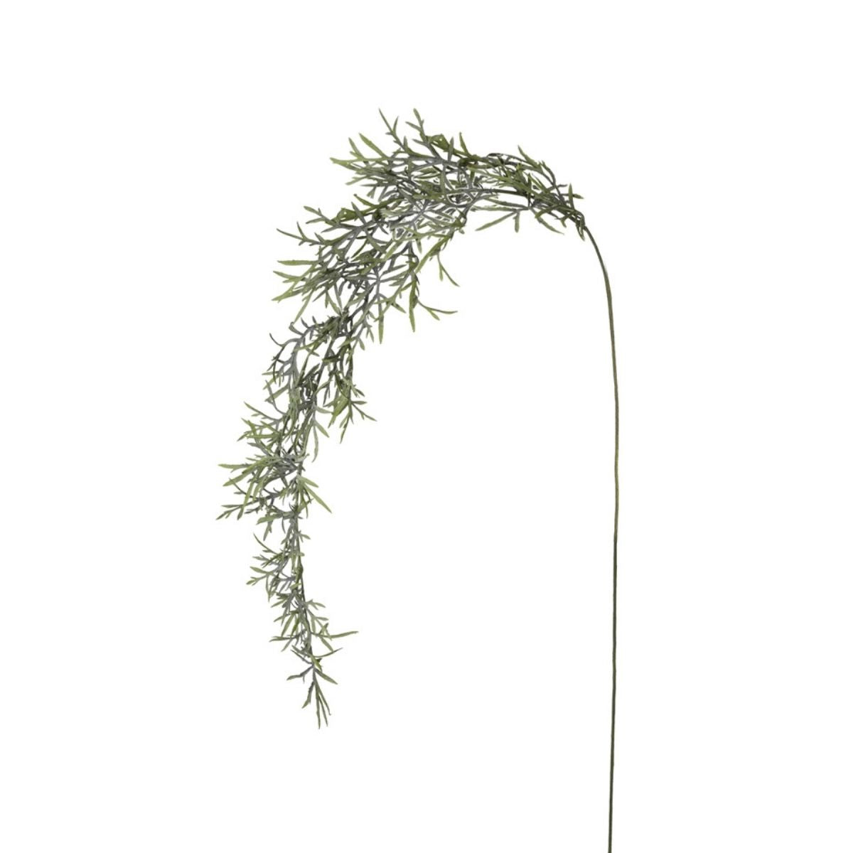 Feuillage Herbe tombante