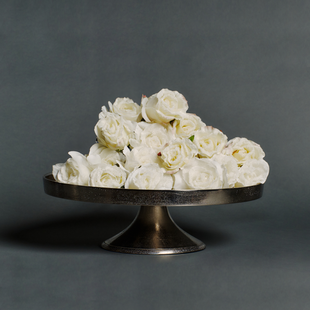 Tige de rose enneigée fermée