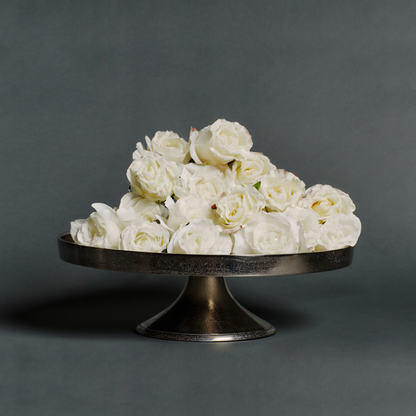 Tige de rose enneigée fermée