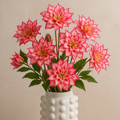 Tige d'Helleborus Niger