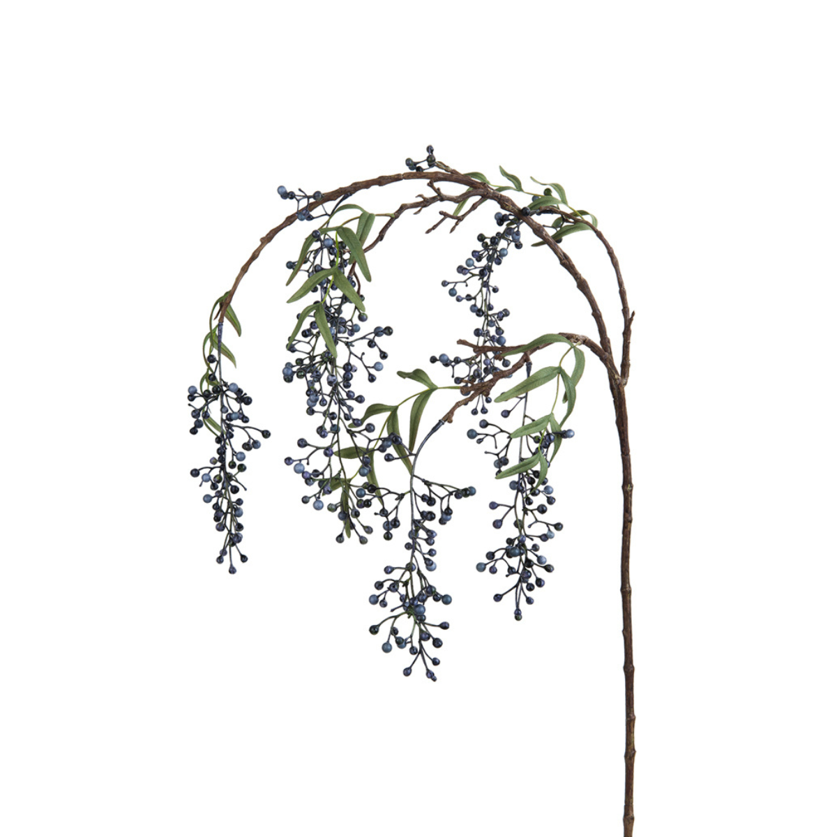 Rameau de baies de poivrier