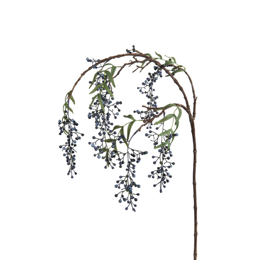 Rameau de baies de poivrier