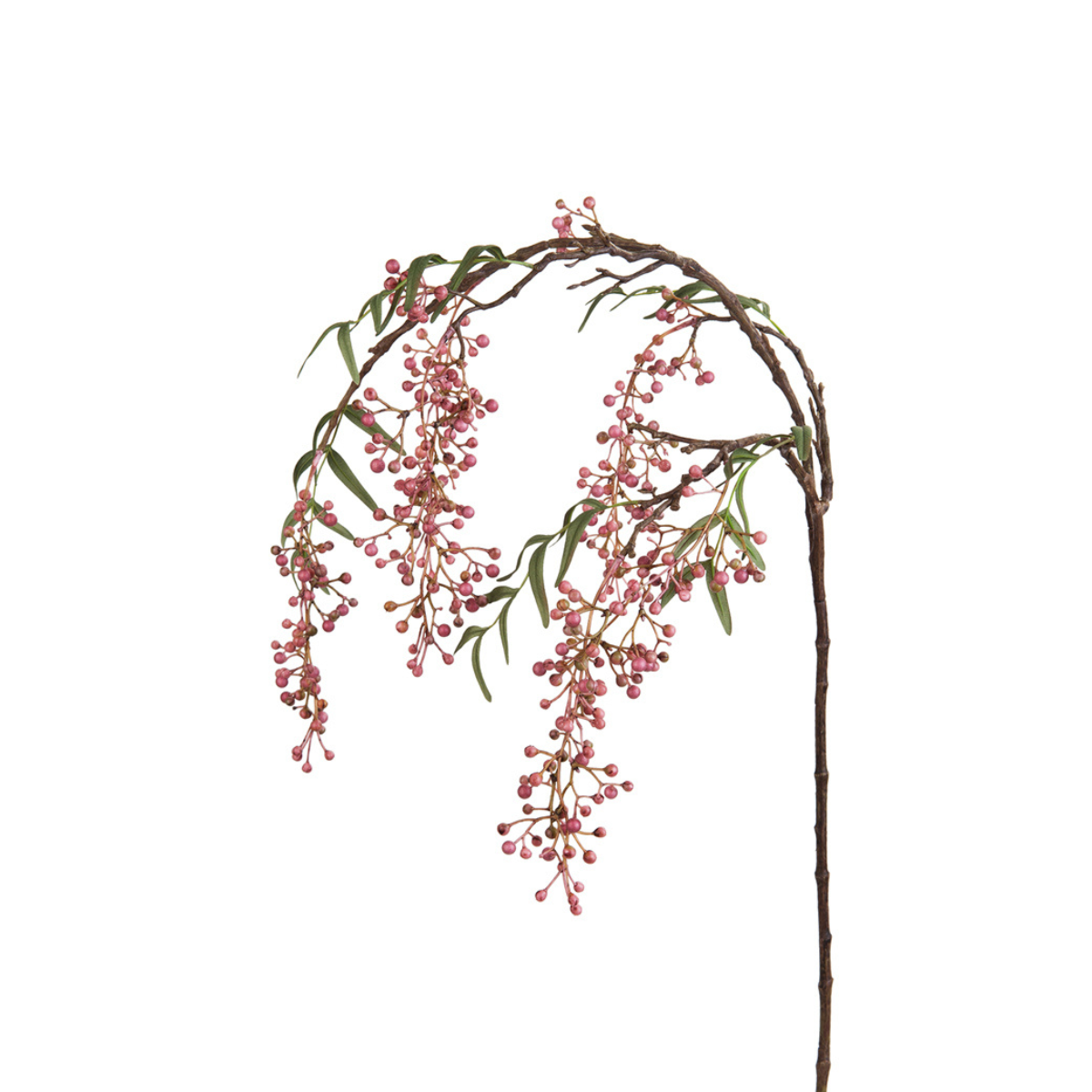 Rameau de baies de poivrier