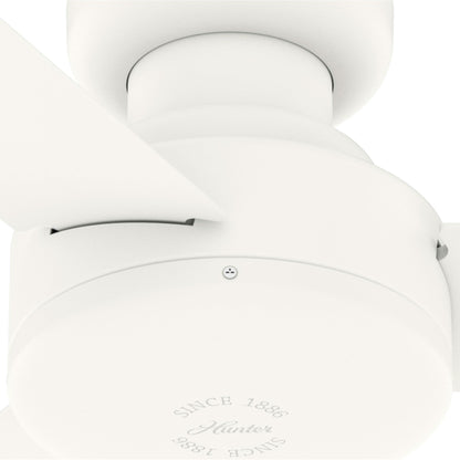 10' x 13' Steel Outdoor Pergola Gazebo, Patio Canopy with Drainage Holes for Backyard Pool Deck Garden