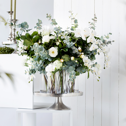 Tige d'Orchidée Phalaenopsis Forever