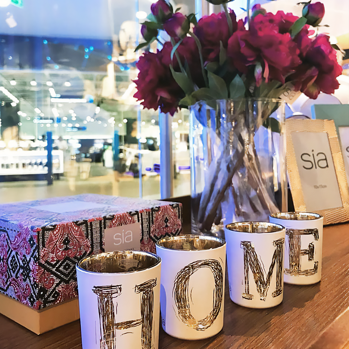 Accueil de Photophores