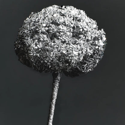 Tige d'Allium Pailleté Azia