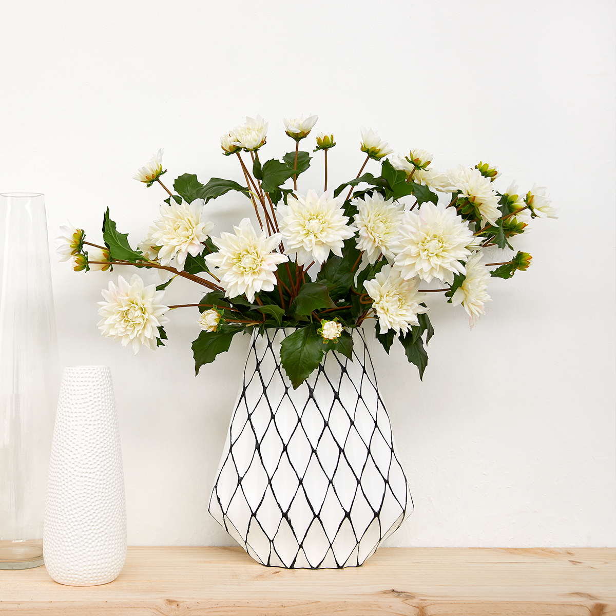 Tige de Dahlia Clara