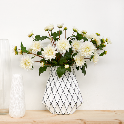 Tige de Dahlia Clara