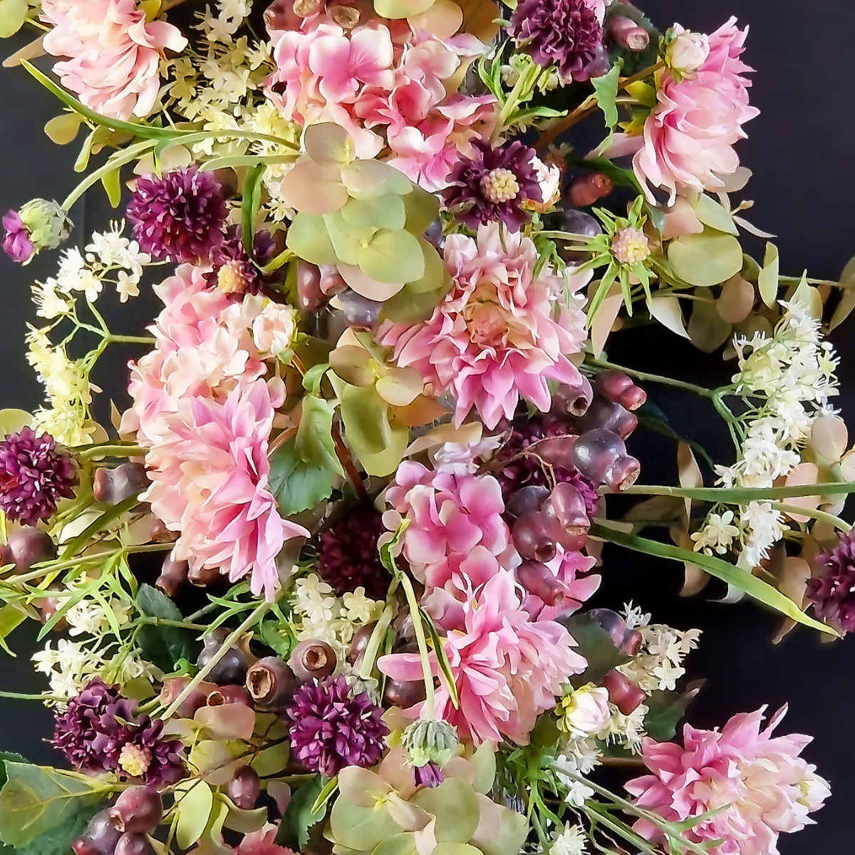 Tige de Scabiosa en fleur