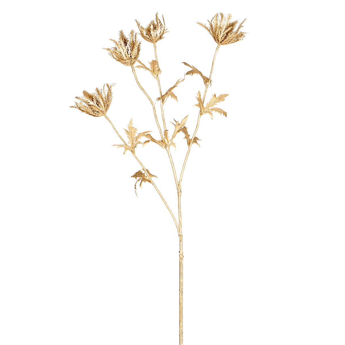 Tige de Chardon Doré Grand Format