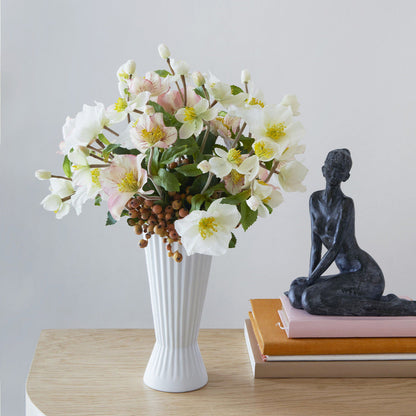 Tige d'Helleborus Niger Givré