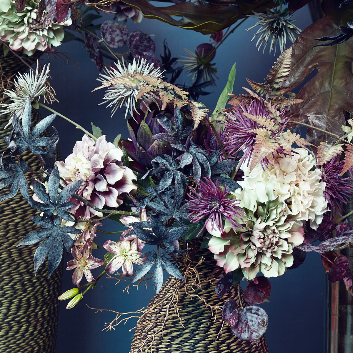 Tige de Chrysanthème Araignée