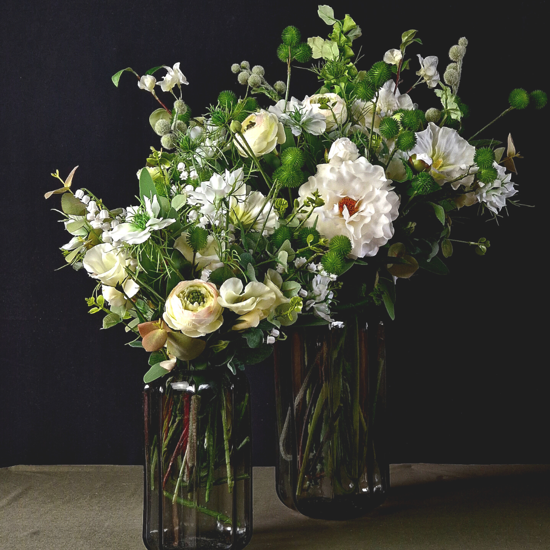 Feuilles et graines de bardane