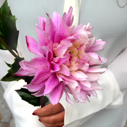 Tige de Dahlia Estiva