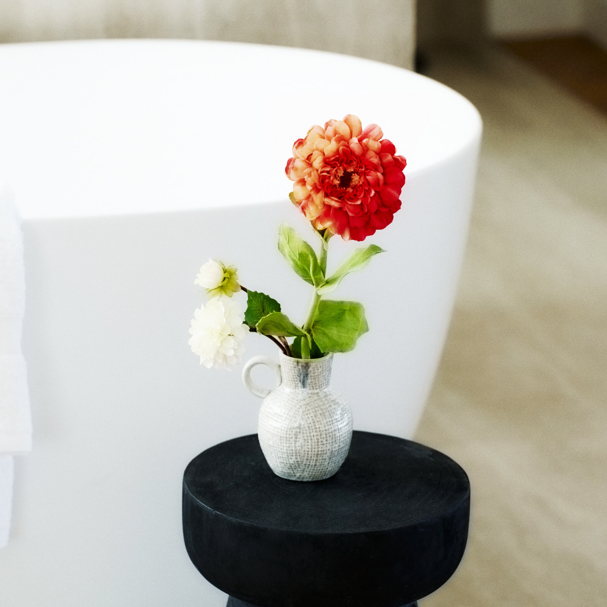 Tige de Zinnia Simone