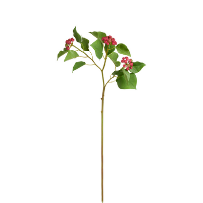 Branche de Houx Japonais