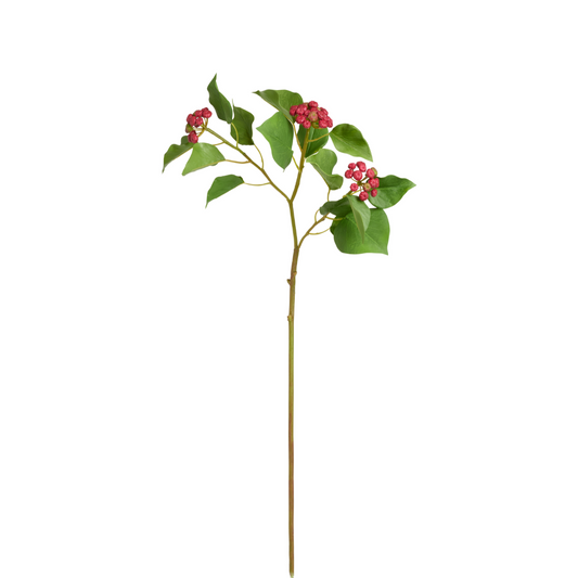 Branche de Houx Japonais