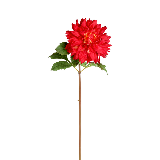 Tige de Dahlia Monica