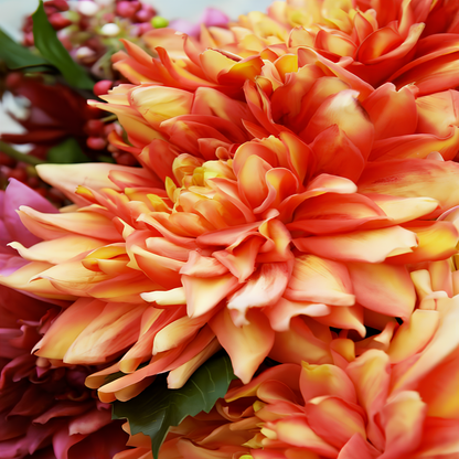 Tige de Dahlia Monica