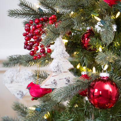 Clips Baies et Poinsettias